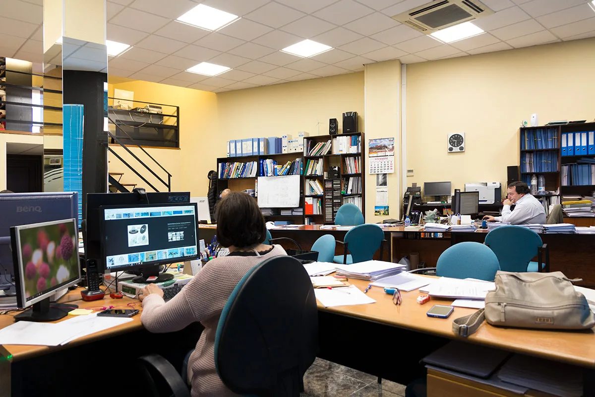 Oficina Intessoria
